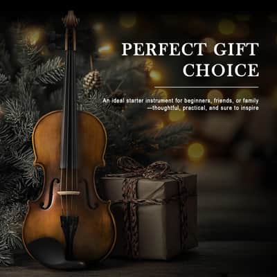 4/4 Full-Size Acoustic Violin Student Fiddle Set QVL-01 with Case, Shoulder Rest, Bow, Tuner & Extra Strings image 4