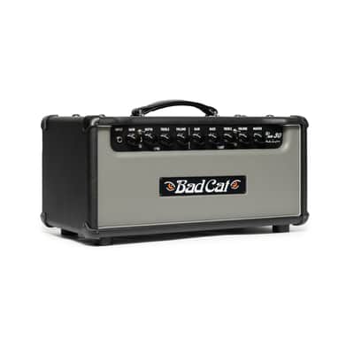 Bad Cat Era 30 Mark Sampson 2-Channel 30-Watt Guitar Amp Head - Gray image 2
