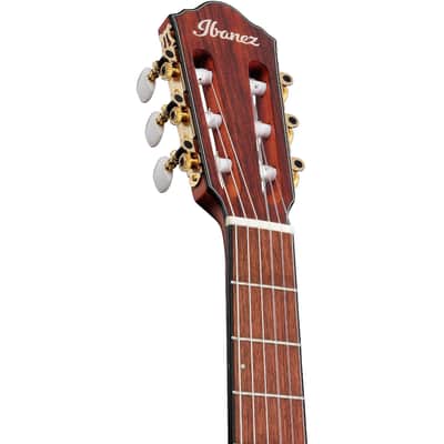 Ibanez FRH10NIBF Thinline Nylon Acoustic-Electric Guitar Indigo Blue Metallic Flat imagen 5