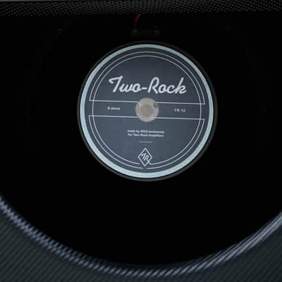 Two-Rock TS1 40W Combo, 230V - Black Carbon Fiber, Cane Cloth image 10