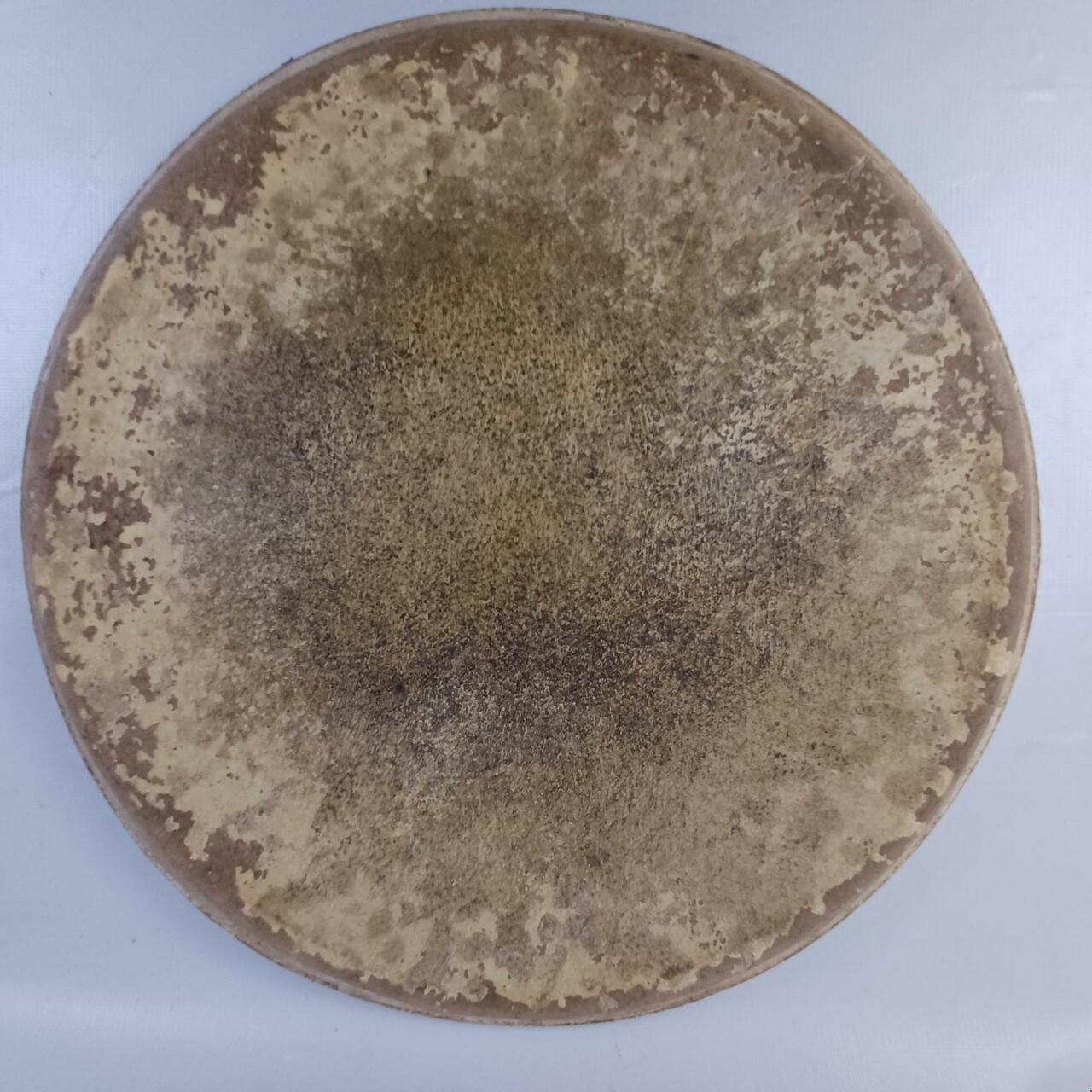 Leedy/Ludwig 14"Pig/Calf Skin Snare Drum Batter Head Vintage 20s USA Tom Pigskin — main photograph