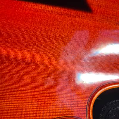 Beautiful 4/4 Panis Angelicus Cello w/ Bow & Hard Rolling Case image 14