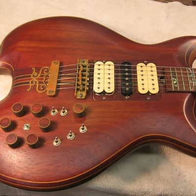 The Joker.THE Guitar! image 13