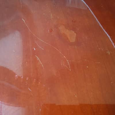 Martin F-50 1964 - Sunburst image 13