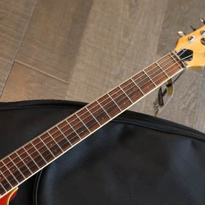 1960's Mosrite Hollowbody Electric Guitar + GB image 7
