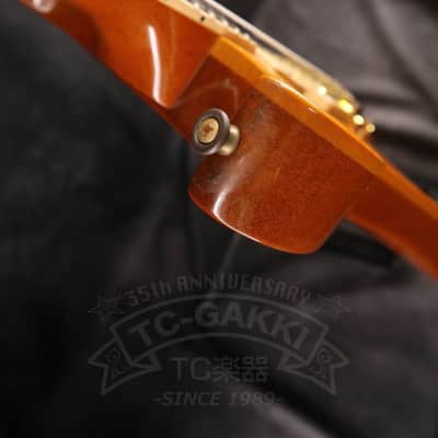 Gibson Les Paul Standard DC image 9