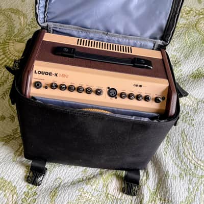 Fishman PRO-LBT-500 Loudbox Mini with Bluetooth 2-Channel 60-Watt 1x6.5" Acoustic Guitar Amp AND  - Brown image 5
