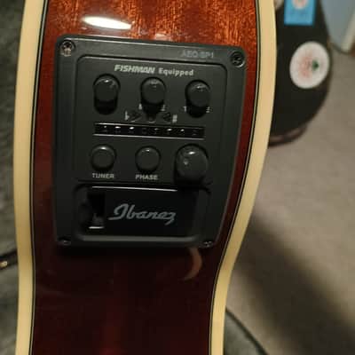 Ibanez AEG20II-VV Acoustic/Electric with TKL hard case image 8