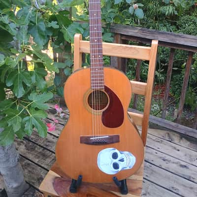 Yamaha FG-75 1973, cool Skull painting, playing great image 1