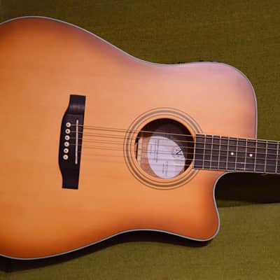 Nashville Guitar Works D10CE EB 2023 - Edgeburst image 1