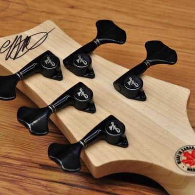 F Bass BN 5 - Colour Shift image 18