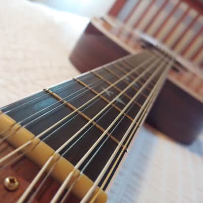 Taylor 855 12-string acoustic guitar - mint condition! image 13