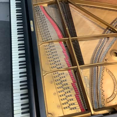 Steinway & Sons Grand Piano Model B, Hamburg 1968 image 5