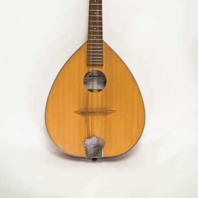 Mid Missouri Mandolin M-1 image 3