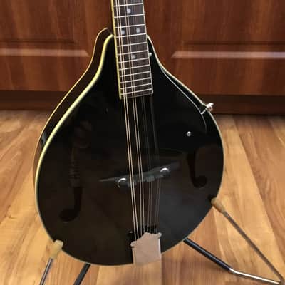 Ashbury Mandolin w/Case image 8