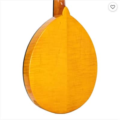 Gold Tone GM-10 Solid Spruce Top Mahogany Neck Frypan 8-String Mandolin w/ Hard Case, Free Shipping image 10