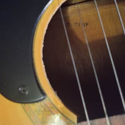 Atomic Guitar, High Gloss, Steel strings image 7