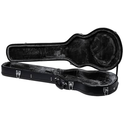 Epiphone Les Paul Case image 2