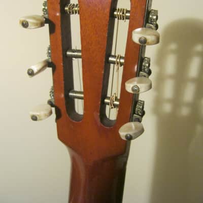 John C. Haynes Bay State Brazilian Rosewood Guitar image 5