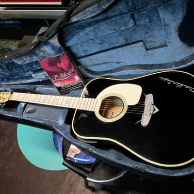 ESTEBAN Acoustic Electric Guitar The Vintage Limited Edition LOCAL ONLY image 1