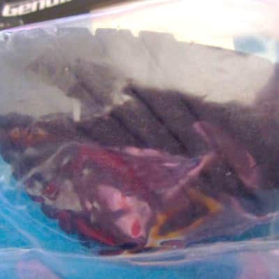 Pearl RB-002 Rubber Foot (for D930 Drum Throne) image 5