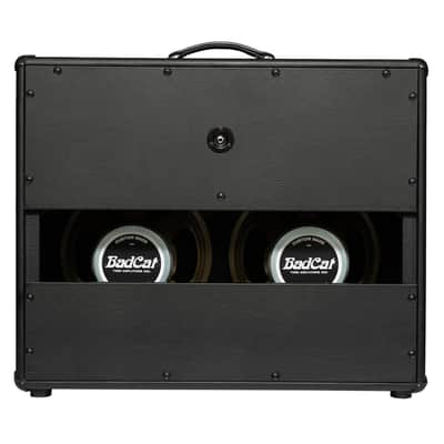 Bad Cat Handwired Cub V 2x12" Extention Cabinet - Open Box image 4