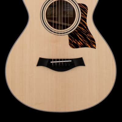 Taylor 312ce 12-Fret #25044 image 1