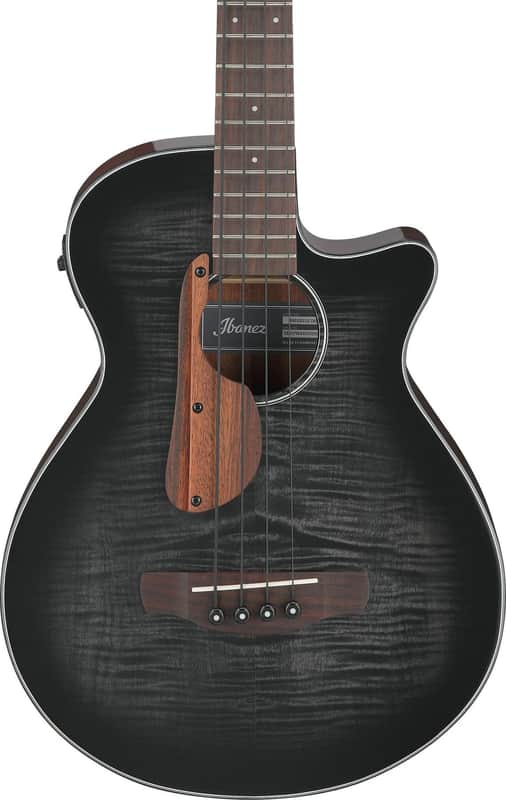 Ibanez AEGB25E image 1