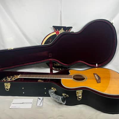 D'Angelico Excel Gramercy XT Acoustic Electric Guitar with Case image 1