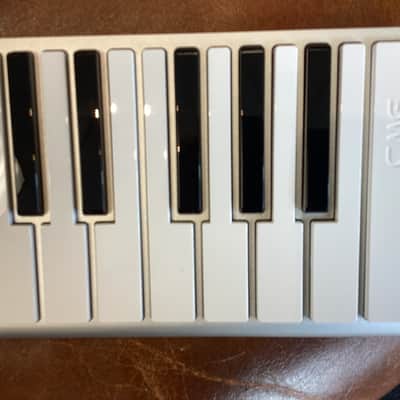 CME Xkey  37 - White image 5