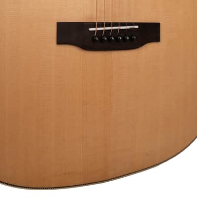 Gold Tone GT-Dread-NA Solid Sitka Spruce Top Mahogany Neck 6-String Acoustic-Electric Guitar w/Gig Bag image 6
