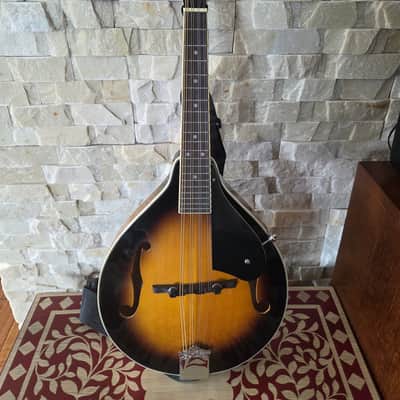 Washburn MIK newer image 1