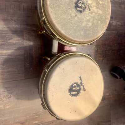 Bongo LP Pro M Cohen image 2