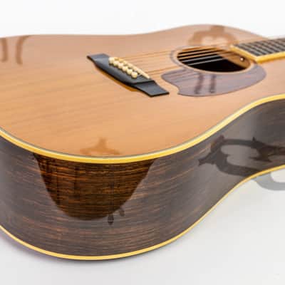 Daion MUGEN Mark II - Six String Acoustic image 21