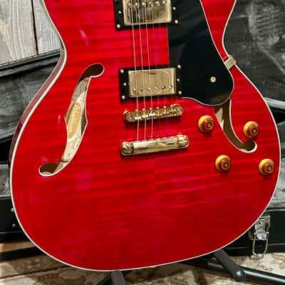 Washburn HB35-WRK Semi-Hollowbody Wine Red, Fantastic Tone, Professional Setup Hard Shell Case & Ships Fast Too ! image 18