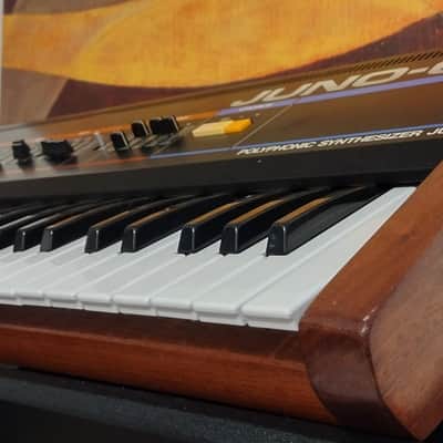 Roland Juno-6 1982 fully restored