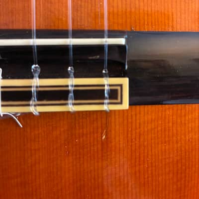 1981 Takeo Koba (amazing Ramirez-style concert guitar - cedar and Brazilian Rosewood) image 10