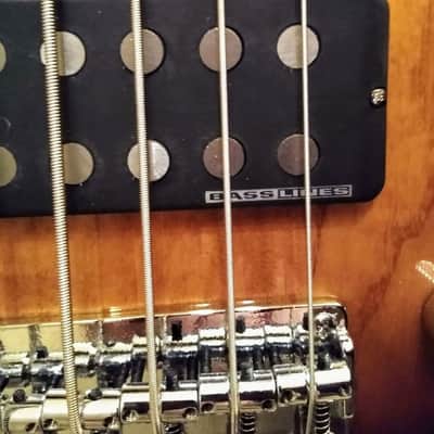 Fernandes Atlas Deluxe 5 String With Case image 3