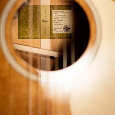 Taylor Gold Label 517e SB Grand Pacific Acoustic/Electric Guitar - Sunburst with Cream Pickguard and Hardshell Case image 14