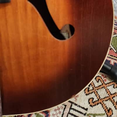 Harmony Alden H1213 Tiger Burst Birch Archtop 1950s USA image 14