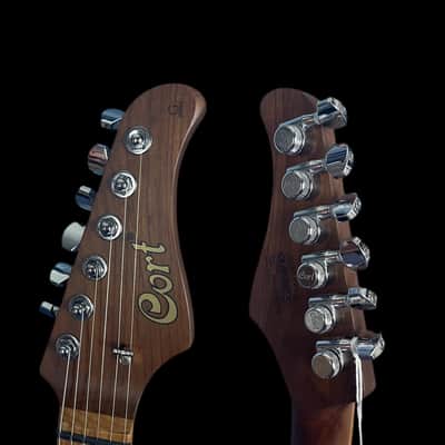 Cort G290 Fat II Electric Guitar, Trans Black Burst image 5