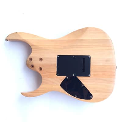 DIY Guitar Kit Ibanez Project Builder Custom Carved Dragon Solid Ash Body Only image 7