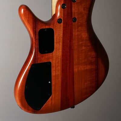 Roscoe Century Standard Plus Fretless image 4