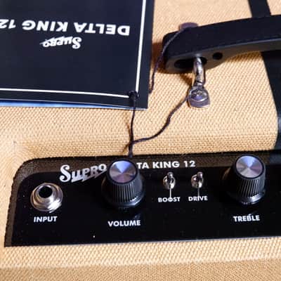 Supro Delta King 12 15w image 6