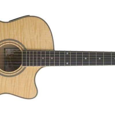 Oscar Schmidt Auditorium Acoustic Electric Guitar - Natural - OACEFN image 2