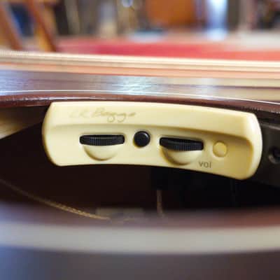 Iris CH 2024 with LR Baggs Anthem pickup - Natural Mahogany image 4