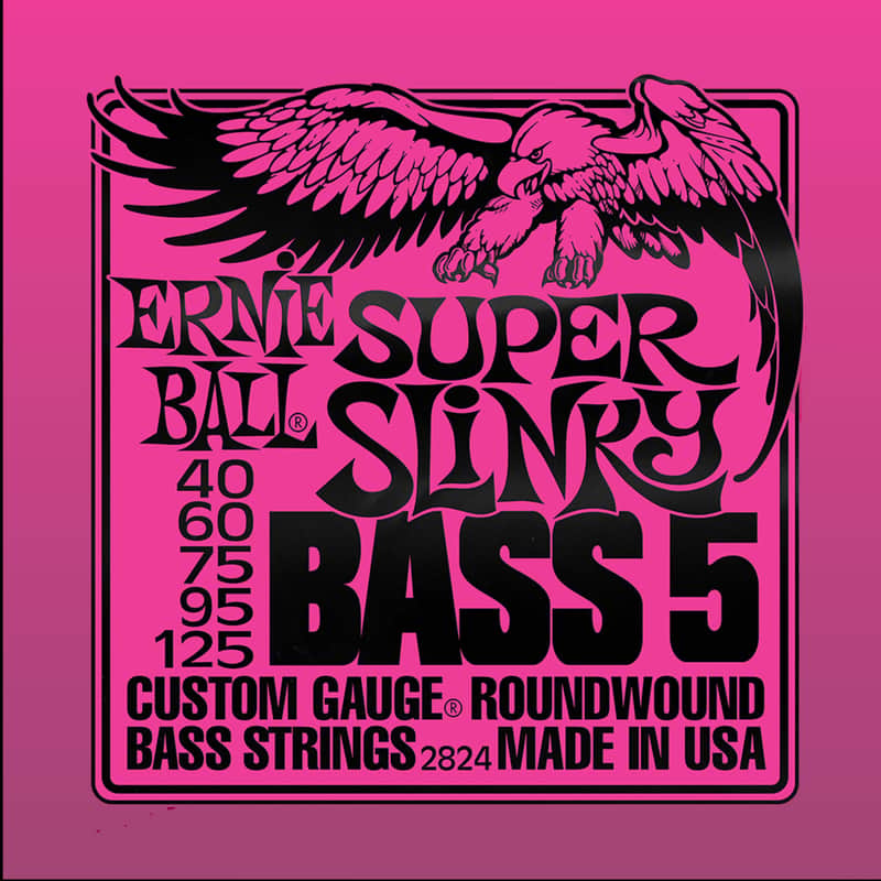 *Free Shipping* Ernie Ball 2824 Super Slinky 5-String Nickel Wound Electric Bass Strings (40-125) 2010s - Silver image 1