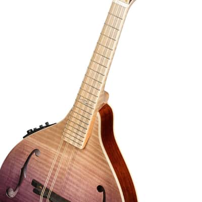 Ortega RMAE200PF Americana Series A-Style Solid Flamed Maple Top Maple Neck 8-String Acoustic-Electric Mandolin w/Croco Leather Case image 8