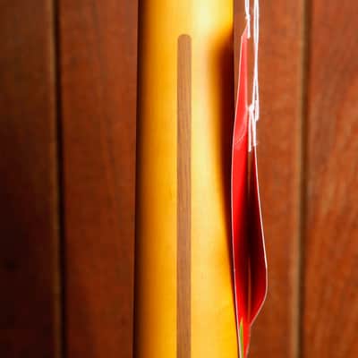 Fender American Professional Classic Hotshot Telecaster Butterscotch Blonde Electric Guitar image 14