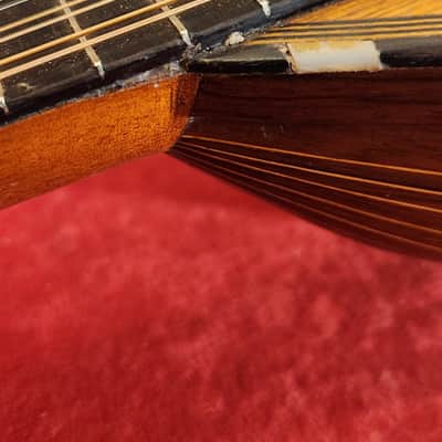 Vintage Bowl-Back Mandolin Natural - FULLY RESTORED - Brazilian Rosewood Back!! image 7